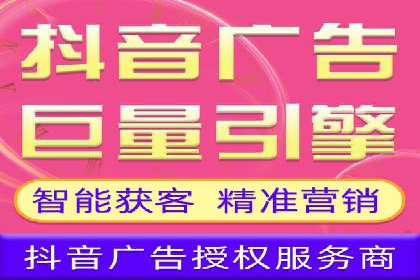 某某SEM服务公司成功案例：从数据出发的营销策略